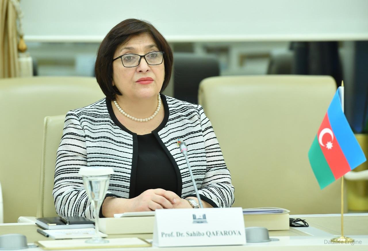 Milli Məclisin Sədri Sahibə Qafarova TBMM-nin nümayəndə heyəti ilə görüşüb