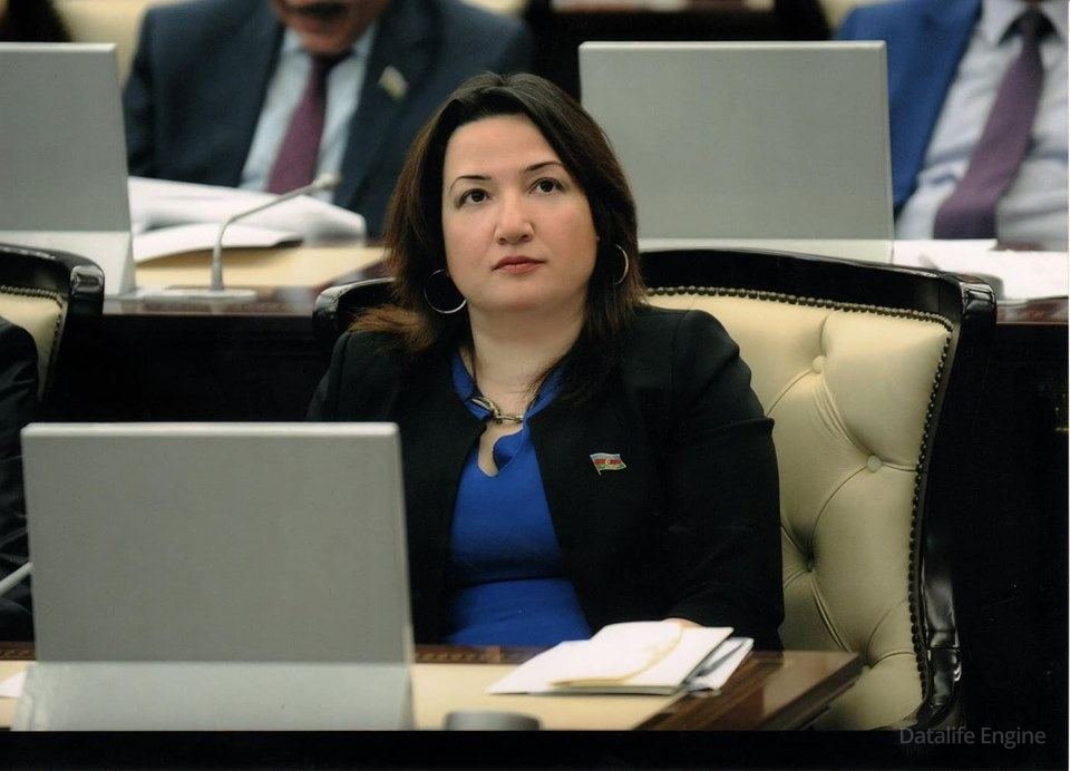 Tarixi ədalətin bərpası nəticəsində azadlığına qovuşan Qarabağda yeni həyat başlayır - Pərvin Kərimzadə