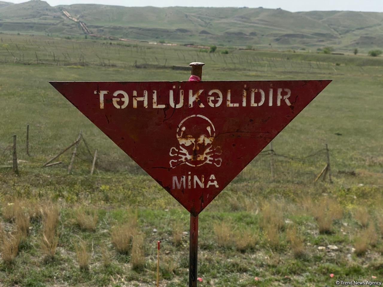 Ötən həftə 114 hektar ərazi minalardan təmizlənib