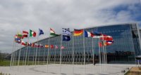  NATO Əfqanıstana hərbi müdaxilə edəcək?