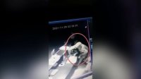 Gəncədə mağazadan oğurluq edən şəxs saxlanılıb