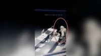 Gəncədə mağazadan oğurluq edən şəxs saxlanılıb