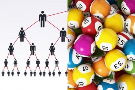 Lotereyada 3 dəfə maşın udan iqtisadçı və psixoloq üz-üzə... - Tez varlanmaq istəyi, yoxsa bəxt?