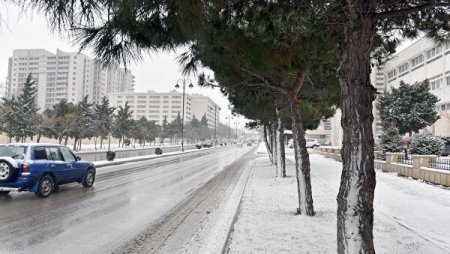 Azərbaycanda müşahidə olunan fakti hava açıqlanıb