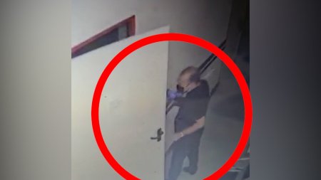 Bakıda həkimləri qarət edən kameralara düşdü Bakıda həkimləri qarət edən kameralara düşdü