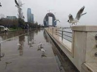 Yağıntılı hava nə vaxta qədər davam edəcək?