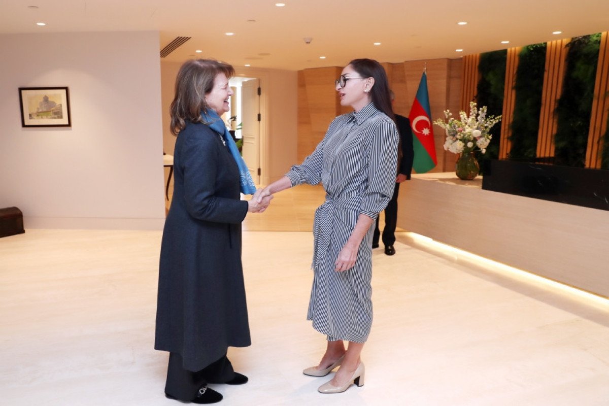 Mehriban Əliyeva Britaniya baş nazirinin ticarət elçisi ilə görüşdü Mehriban Əliyeva Britaniya baş nazirinin ticarət elçisi ilə görüşdü