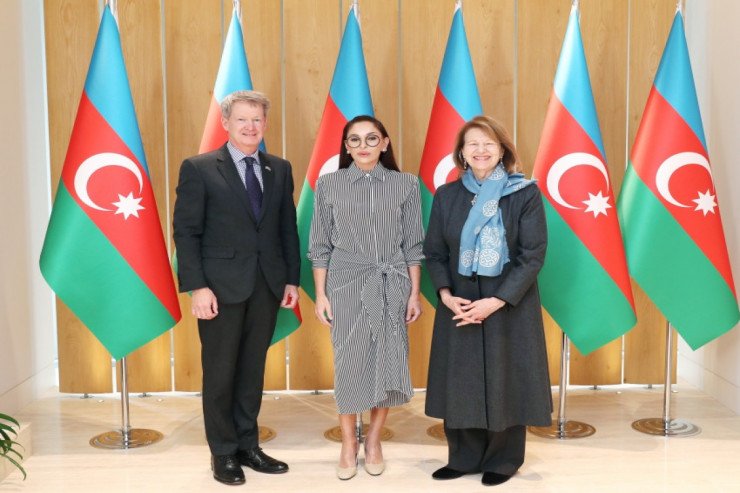Mehriban Əliyeva Britaniya baş nazirinin ticarət elçisi ilə görüşdü Mehriban Əliyeva Britaniya baş nazirinin ticarət elçisi ilə görüşdü