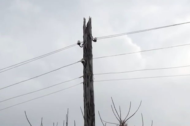 Ağdaşda elektrik problemi nə zaman həll olunacaq? Ağdaşda elektrik problemi nə zaman həll olunacaq?
