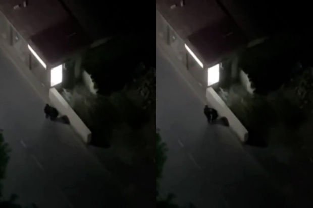 Azərbaycanda gecə küçədə döyülən qadının fəryadı: “Vurma, başım partladı” Azərbaycanda gecə küçədə döyülən qadının fəryadı: “Vurma, başım partladı”