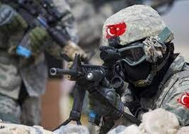Türkiyə ordusu İraqın şimalında daha 10 terrorçunu məhv edib