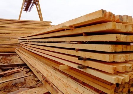 Ağac emalı sexlərində qanunsuz meşə materialı aşkarlandı
