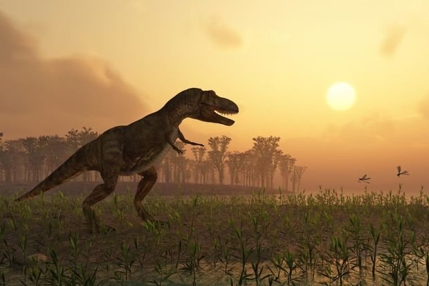 Buldoq üzlü yeni dinozavr növünün qalıqları tapılıb 