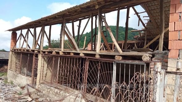 Güclü külək Qaxda tikililərin dam örtüyünü uçurub, ağacları aşırıb
