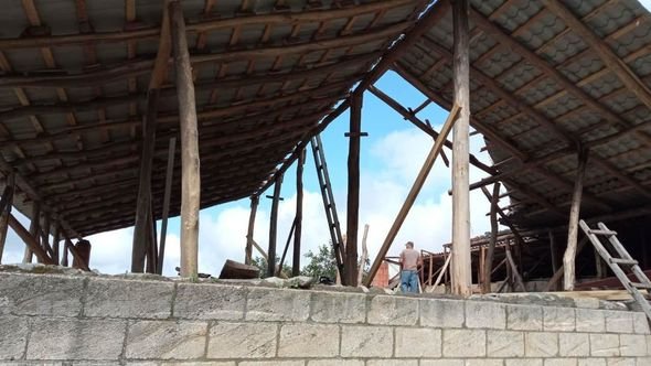 Güclü külək Qaxda tikililərin dam örtüyünü uçurub, ağacları aşırıb