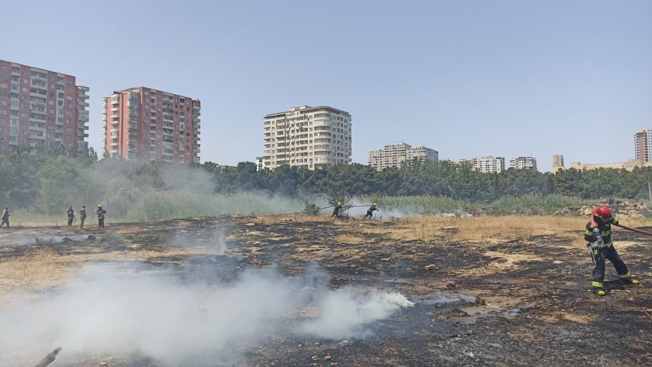 Bakıda parkı yandıran saxlanıldı - FOTO