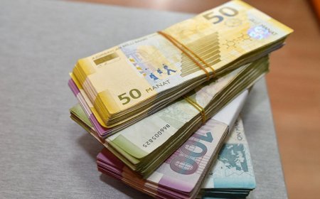 Bakı Sağlamlıq Mərkəzinin yığılmış zərəri 25 milyon manatı keçib