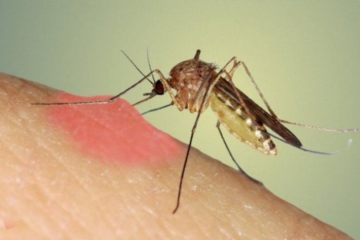 Yeni təhlükəli virus yayıldı - XƏBƏRDARLIQ - 400-dən çox yoluxan var Yeni təhlükəli virus yayıldı - XƏBƏRDARLIQ - 400-dən çox yoluxan var