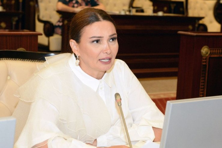 Deputat Qənirə Paşayeva komaya düşüb