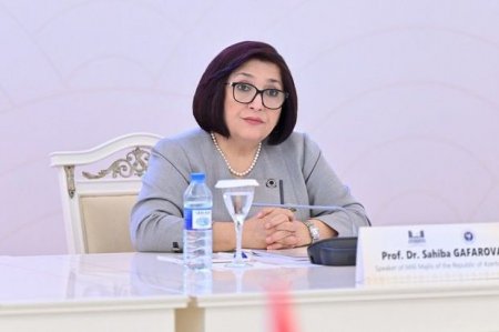 Sahibə Qafarova beynəlxalq konfransın iştirakçılarını Qarabağdakı antiterror tədbirləri barədə məlumatlandırıb