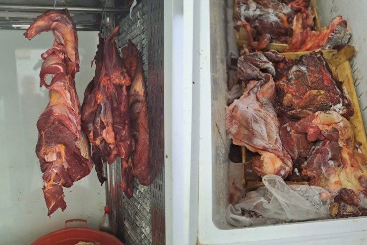 Bakıda at əti satan məntəqə AŞKARLANDI Bakıda at əti satan məntəqə AŞKARLANDI