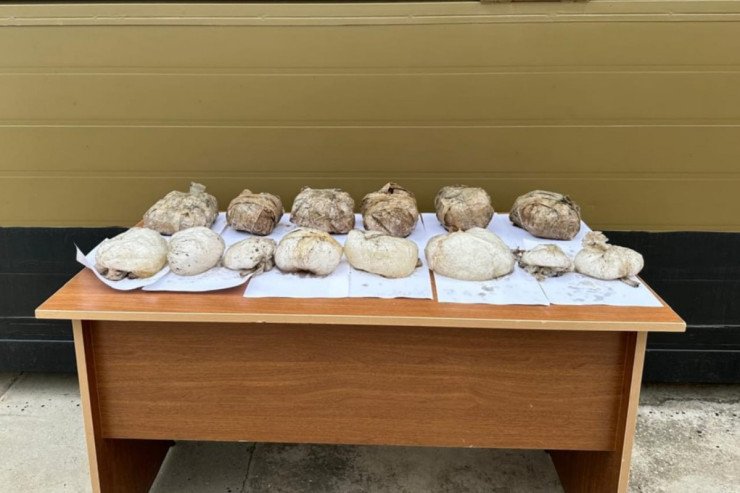 Yaşmada dəniz kənarından 16 kilo narkotik tapıldı Yaşmada dəniz kənarından 16 kilo narkotik tapıldı