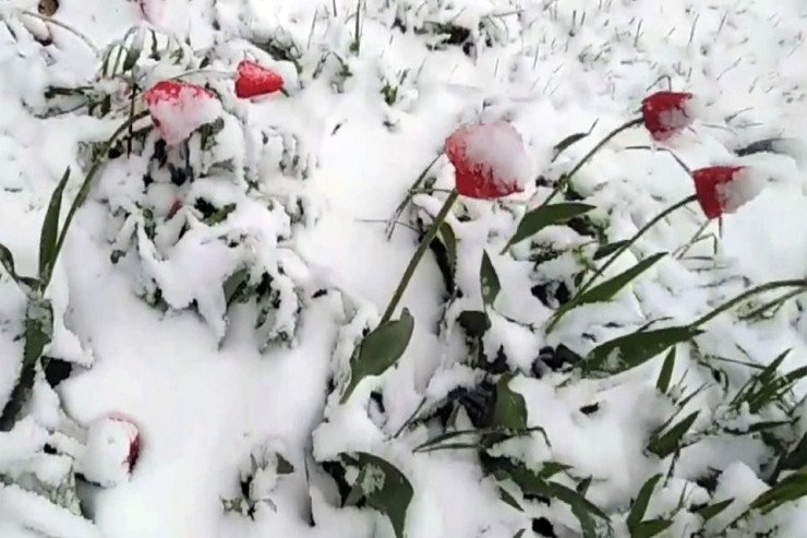 Qar yağanda hava niyə isinir? Qar yağanda hava niyə isinir?