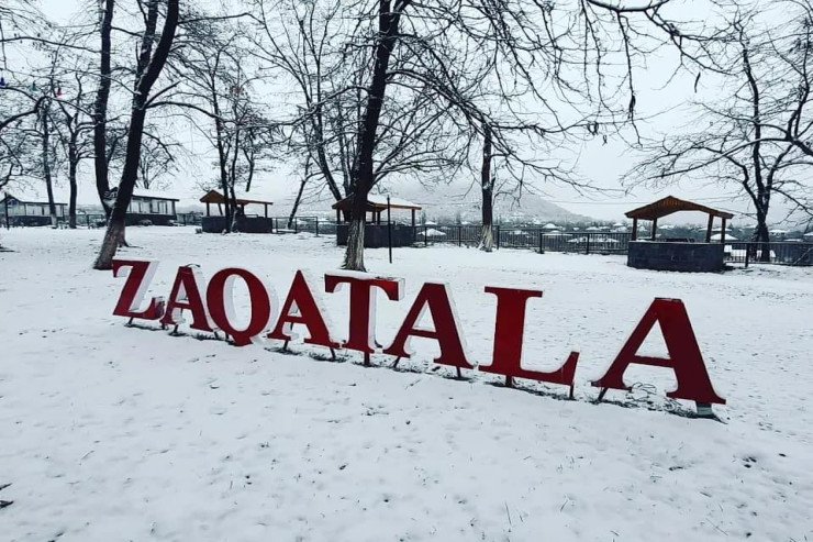 Zaqatalada kişi özünü asdı