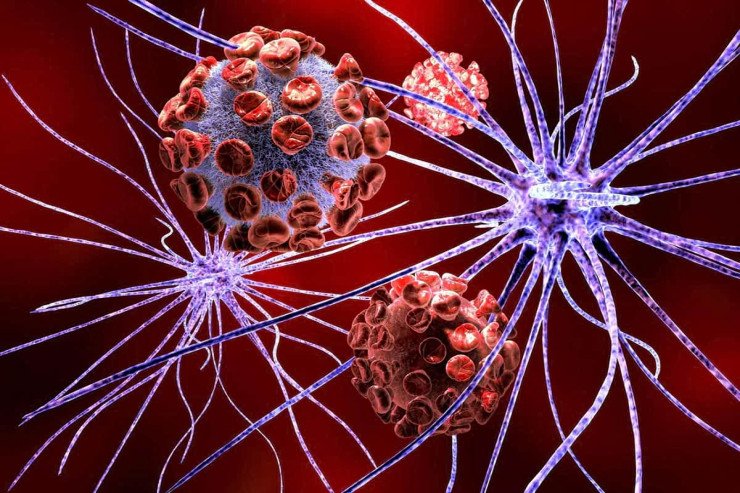 Avropada ilk dəfə aşkar edilən sirli virus: ona qarşı peyvənd yoxdur Avropada ilk dəfə aşkar edilən sirli virus: ona qarşı peyvənd yoxdur