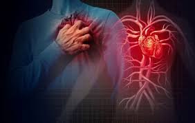 İnsult və infarkt riskini 14 faiz azaldan pəhriz